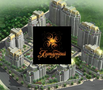 International, Amber